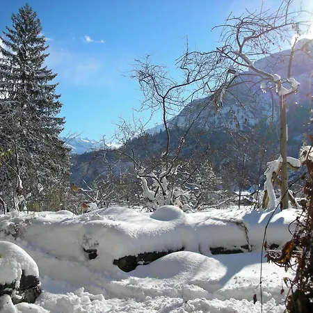 Bed & Breakfast Dunkel Blaue Maus
