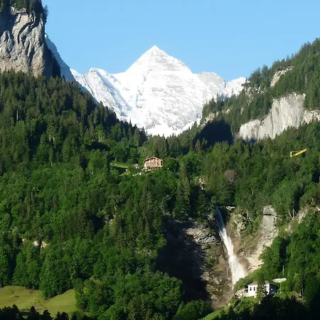 Bed & Breakfast Dunkel Blaue Maus