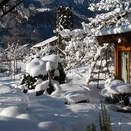 Bed & Breakfast Dunkel Blaue Maus