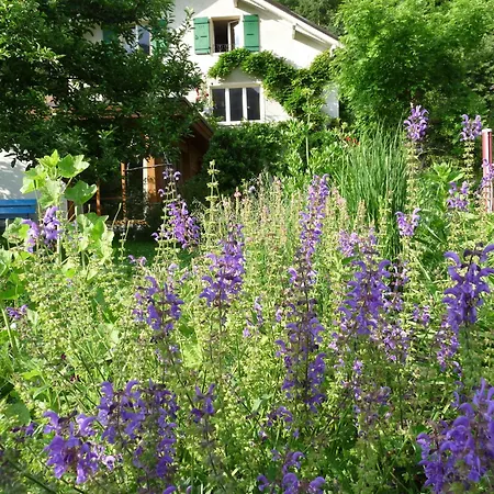 Dunkel Blaue Maus Meiringen