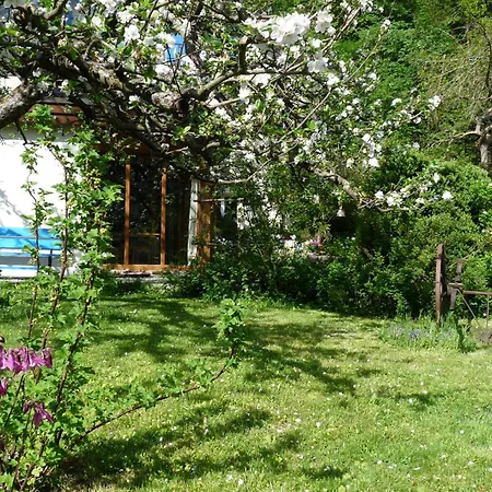 Bed & Breakfast Dunkel Blaue Maus