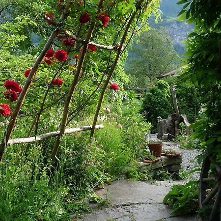 Bed & Breakfast Dunkel Blaue Maus 4*