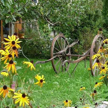 Bed & Breakfast Dunkel Blaue Maus Meiringen