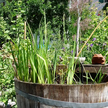 Bed & Breakfast Dunkel Blaue Maus