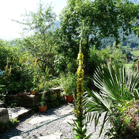 Dunkel Blaue Maus Meiringen