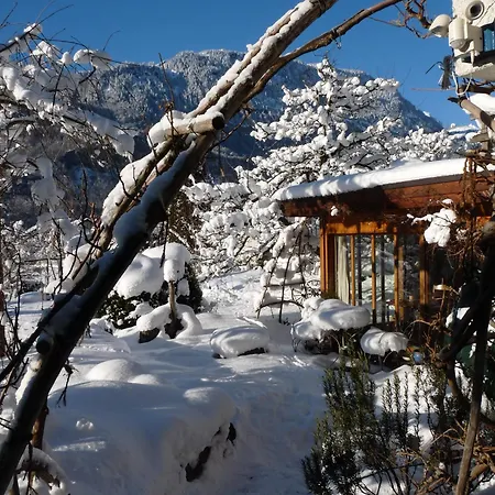 Dunkel Blaue Maus Meiringen