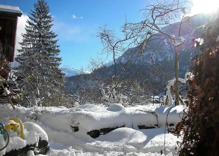 Oda ve Kahvaltı Dunkel Blaue Maus