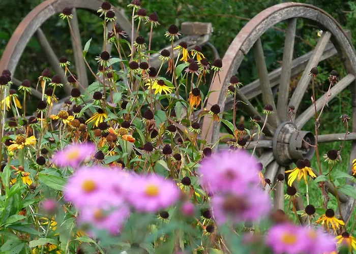 Dunkel Blaue Maus Meiringen