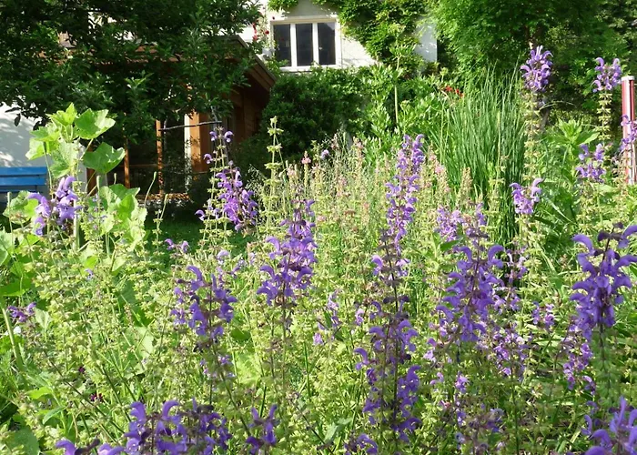 Dunkel Blaue Maus Meiringen