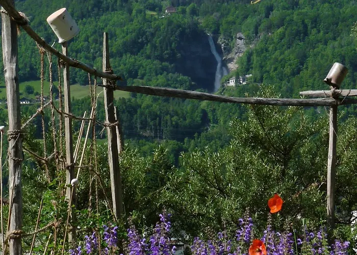 Oda ve Kahvaltı Dunkel Blaue Maus