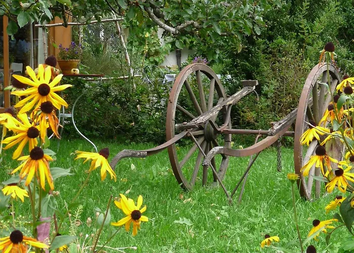 Oda ve Kahvaltı Dunkel Blaue Maus Meiringen