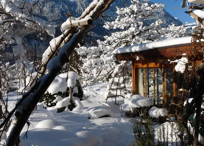 Dunkel Blaue Maus Meiringen