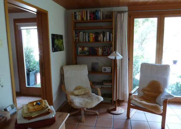 Dunkel Blaue Maus Meiringen