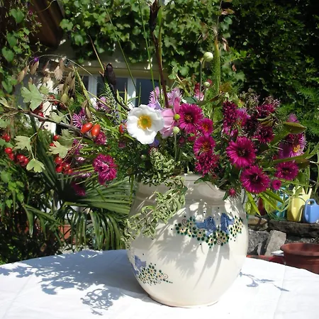 Nocleg ze śniadaniem Dunkel Blaue Maus 4*