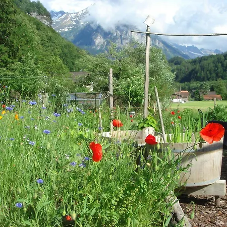Dunkel Blaue Maus Meiringen