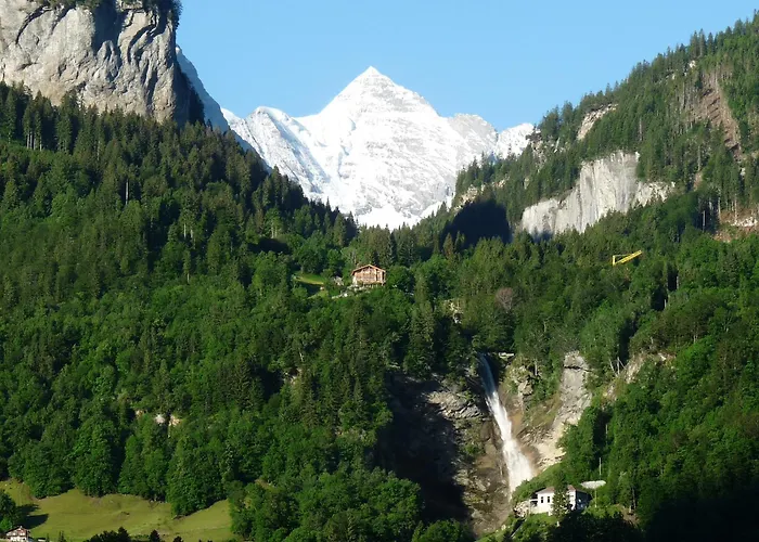 Bed & Breakfast Dunkel Blaue Maus