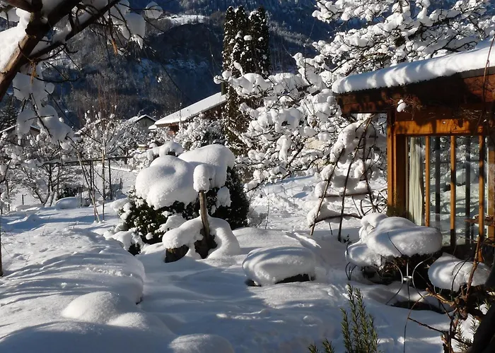 Bed & Breakfast Dunkel Blaue Maus