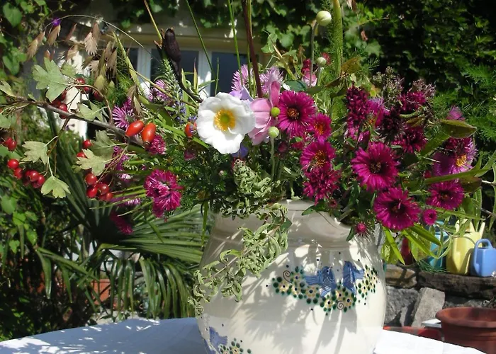 Bed & Breakfast Dunkel Blaue Maus 4*