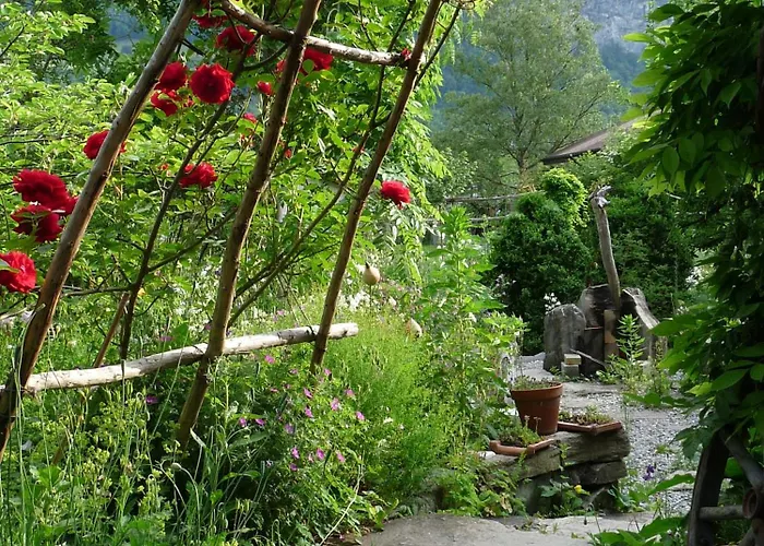 Bed & Breakfast Dunkel Blaue Maus 4*