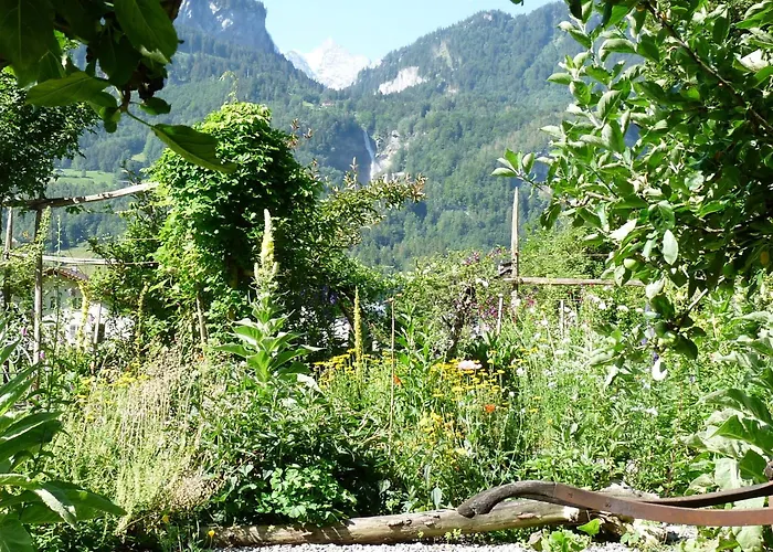 Bed & Breakfast Dunkel Blaue Maus 4*