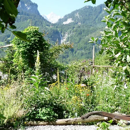 Bed and Breakfast Dunkel Blaue Maus 4*
